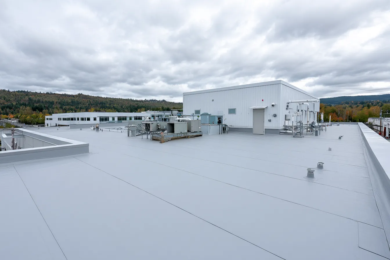 Mechanical equipment sits on a gray flat roof beneath overcast sky