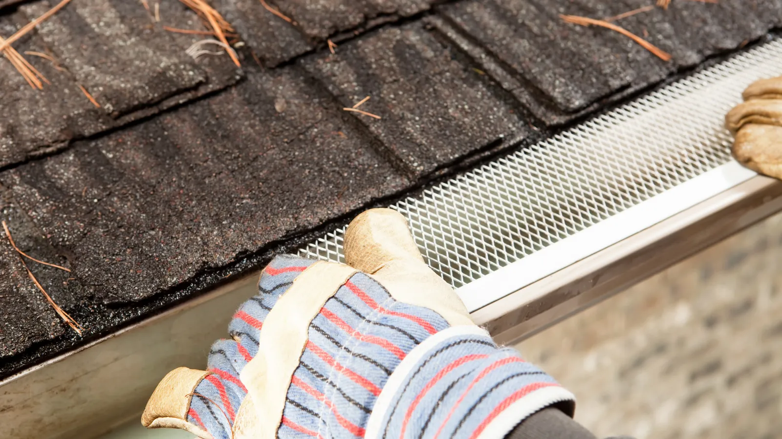 A roofer fitting mesh gutter guard along a shingle roof edge